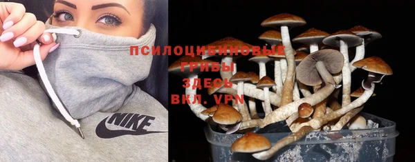 стаф Абдулино