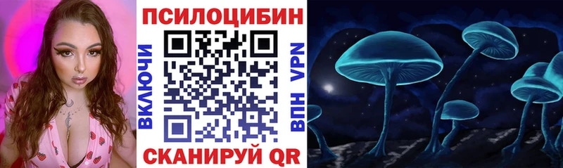 как найти закладки  Староминская  Галлюциногенные грибы ЛСД 