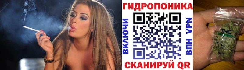 Конопля Bruce Banner закладки Староминская
